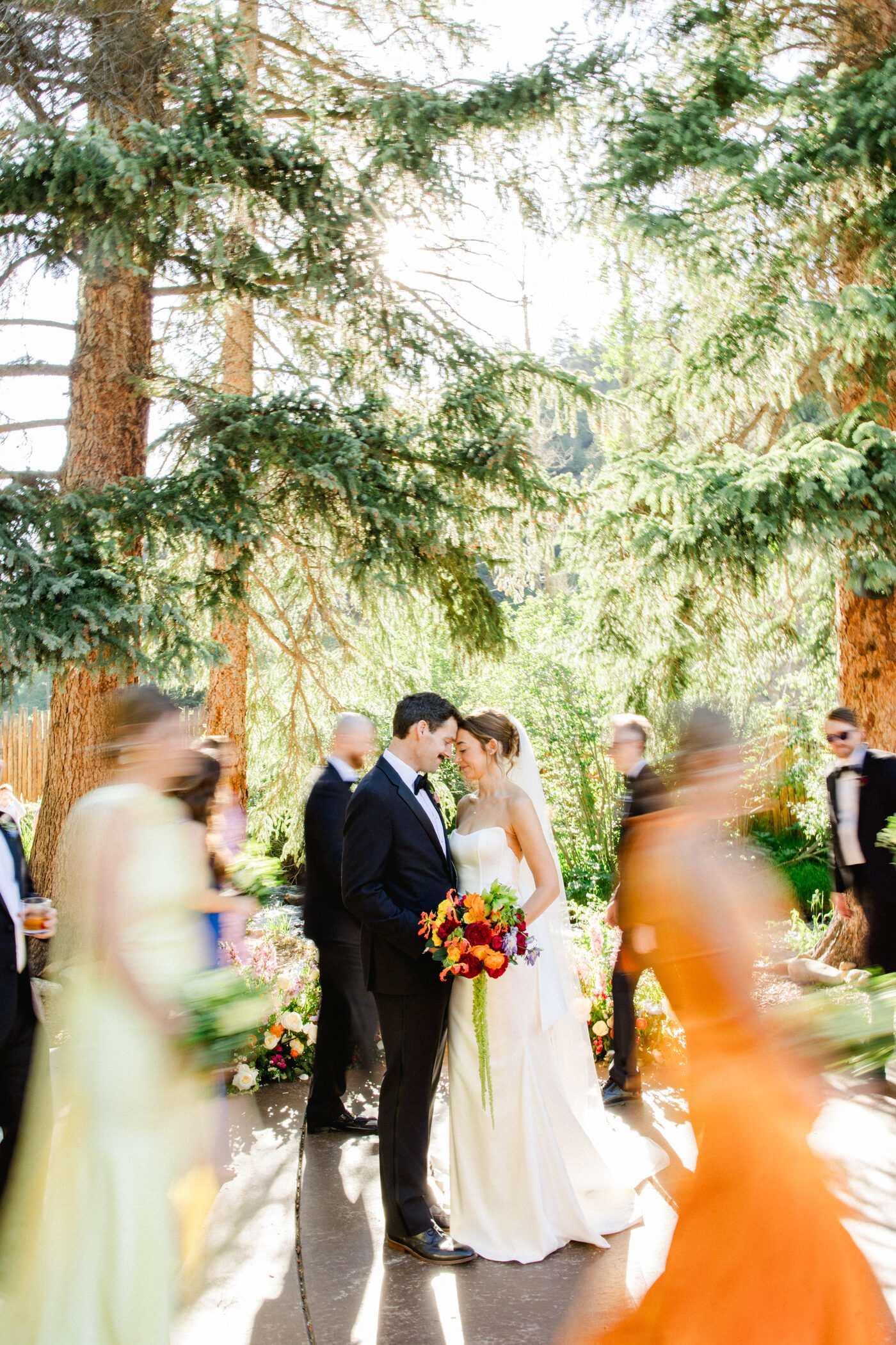 Bride and groom exchanging vows beneath tall pine trees during a destination wedding ceremony, guests gathered all around — Tampa Bay wedding photographer Ailyn La Torre