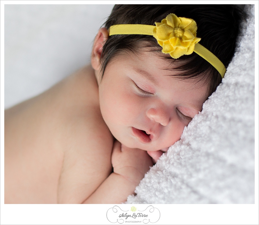 Tampa Newborn Photographer- 3328© Ailyn La Torre Photography 2013