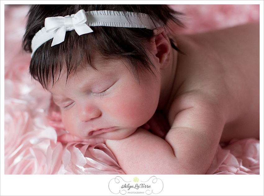 Tampa Newborn Photographer- 3357© Ailyn La Torre Photography 2013