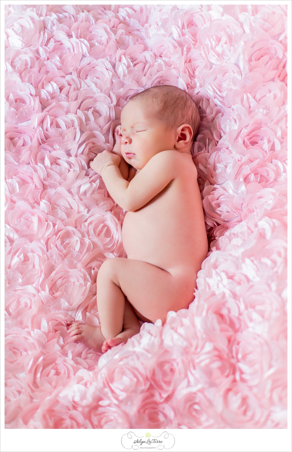 Westchase Newborn Photographer | Photos by ©  Ailyn La Torre Photography 2014