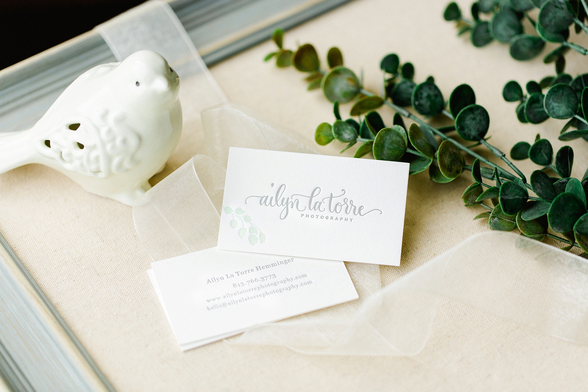 Tampa Wedding Photography | © Ailyn La Torre Photography 2015