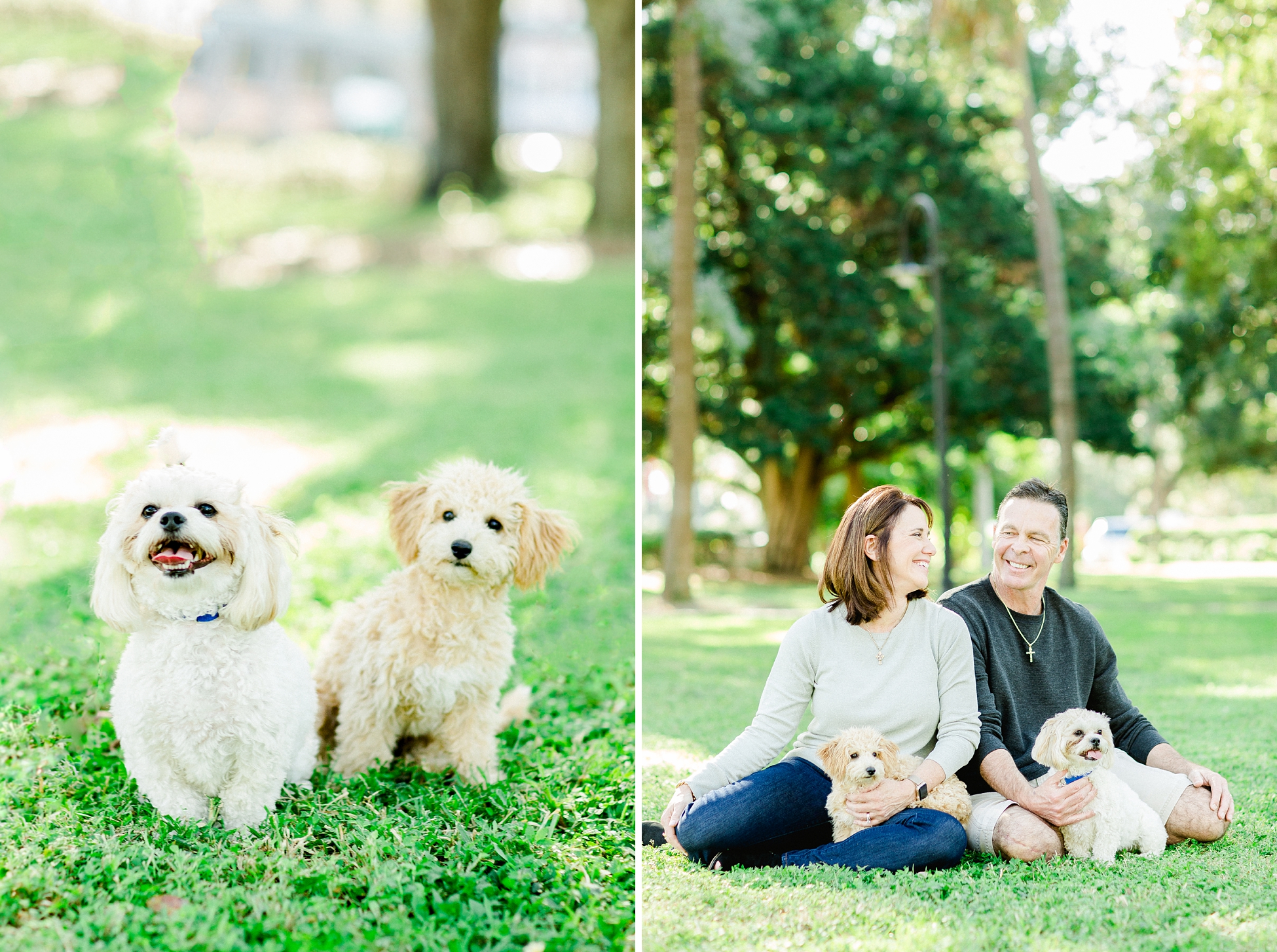 Holiday Mini Sessions Part 2 | © Ailyn La Torre Photography 2018